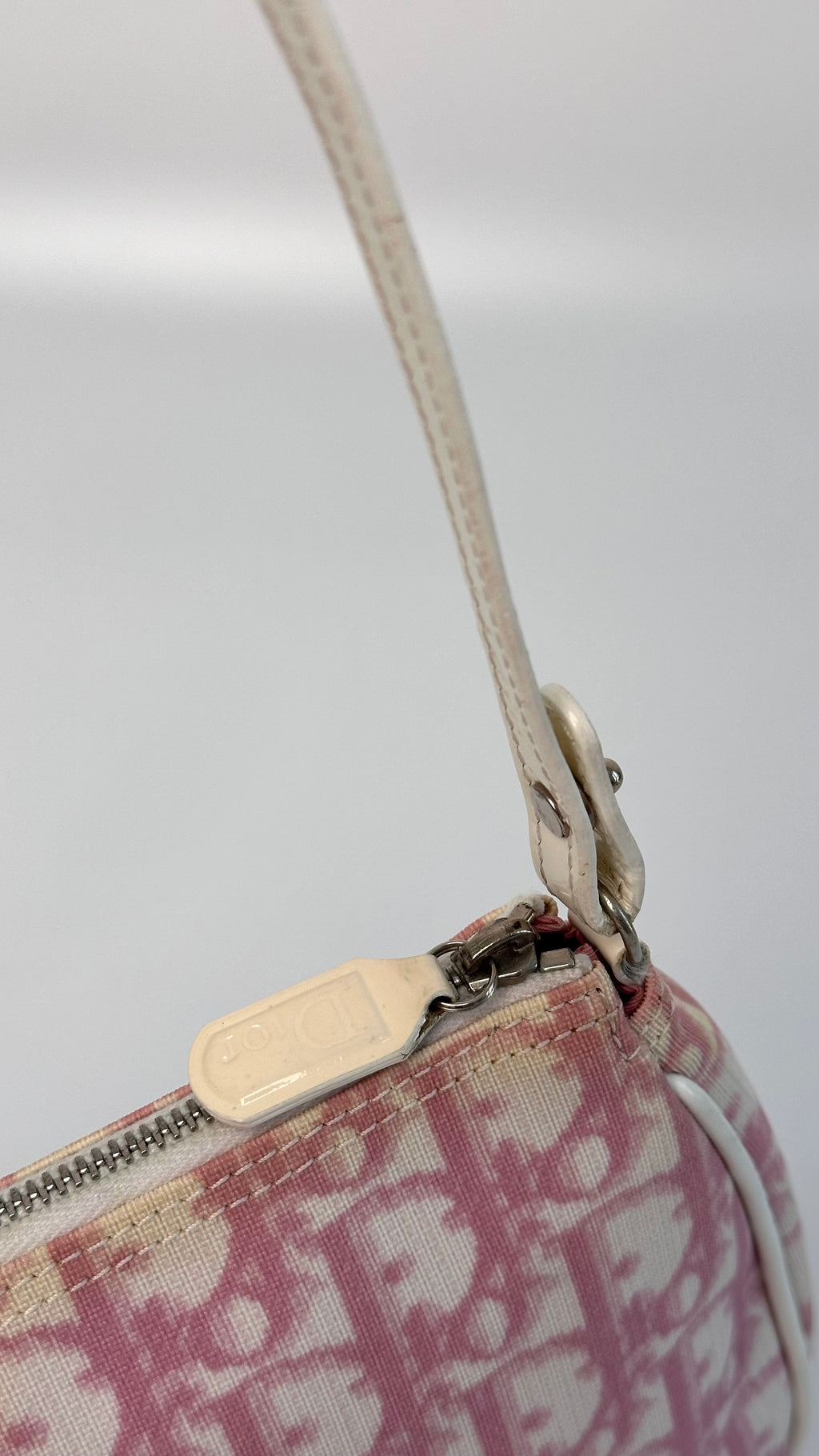 Dior Trotter