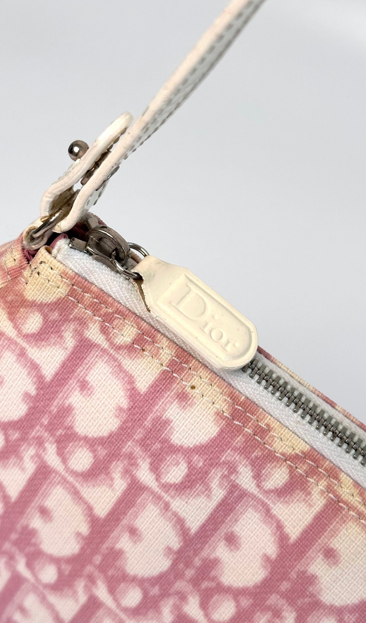 Dior Trotter