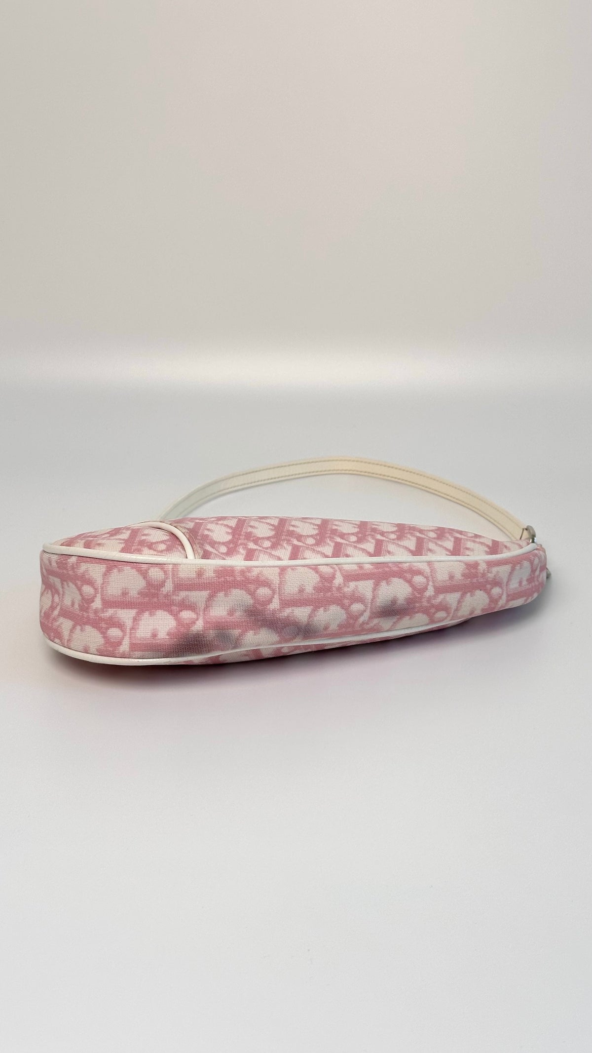 Dior Trotter