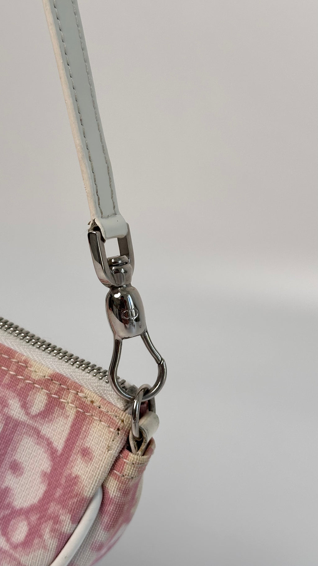 Dior Trotter