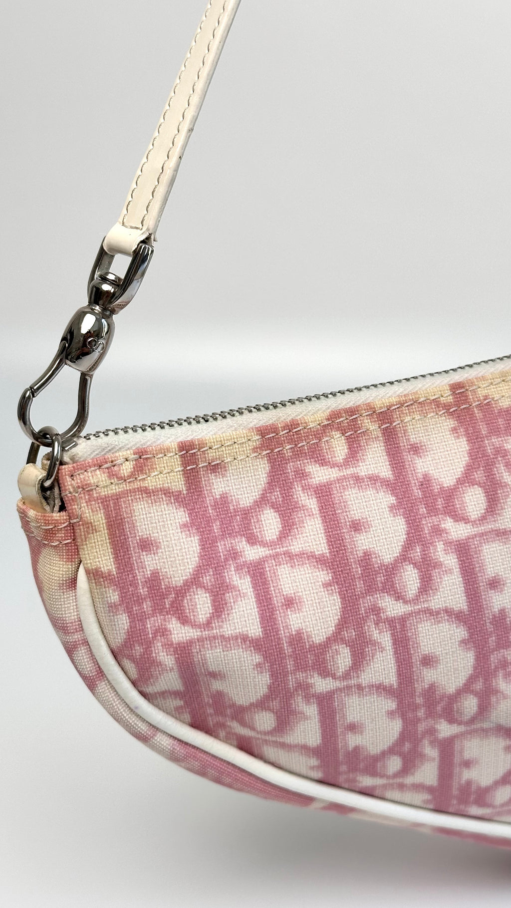 Dior Trotter