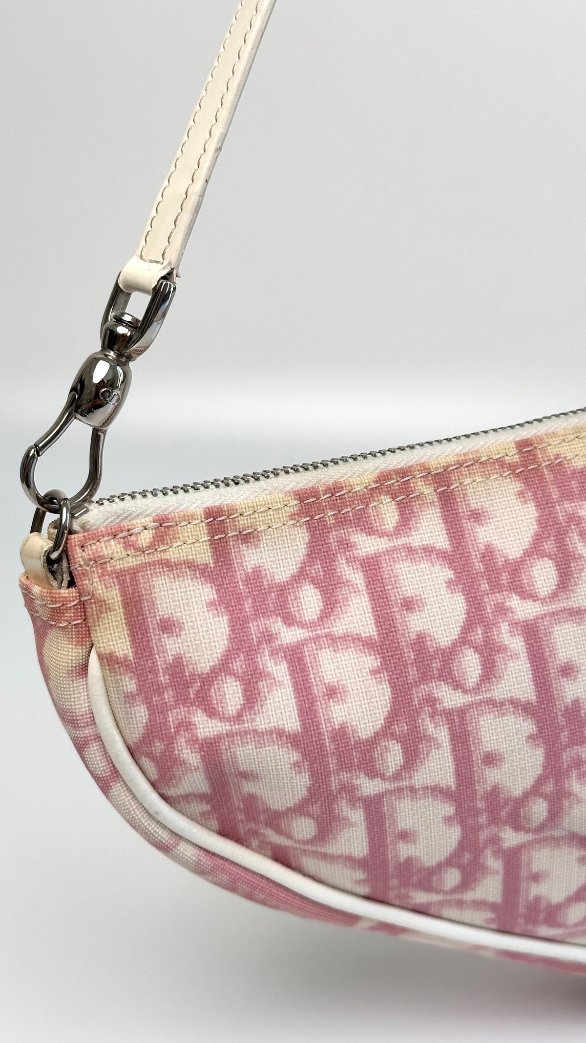 Dior Trotter