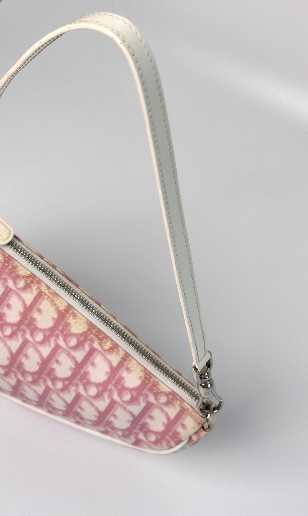 Dior Trotter