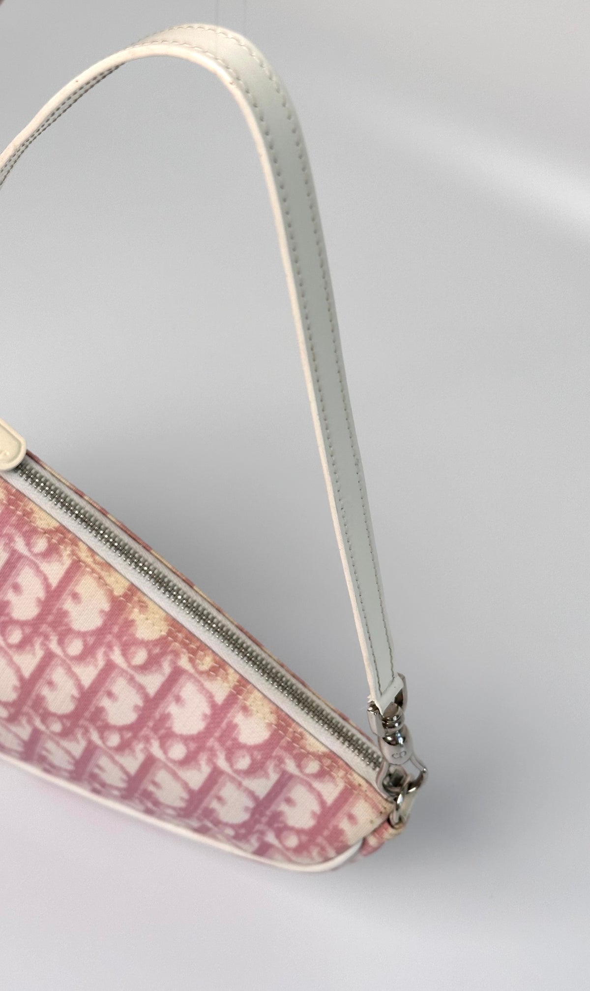 Dior Trotter