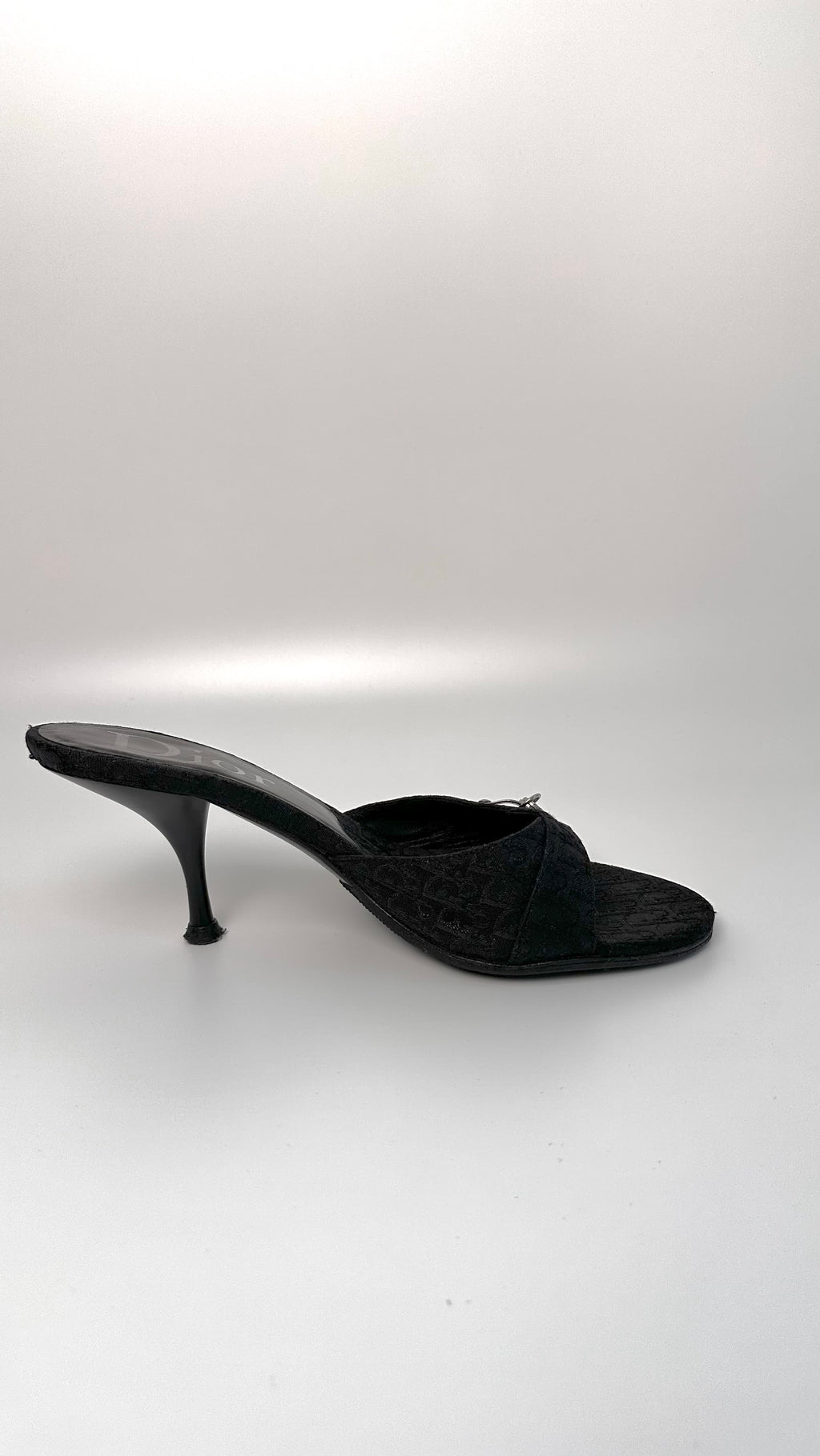 Mules Dior by John Galliano
