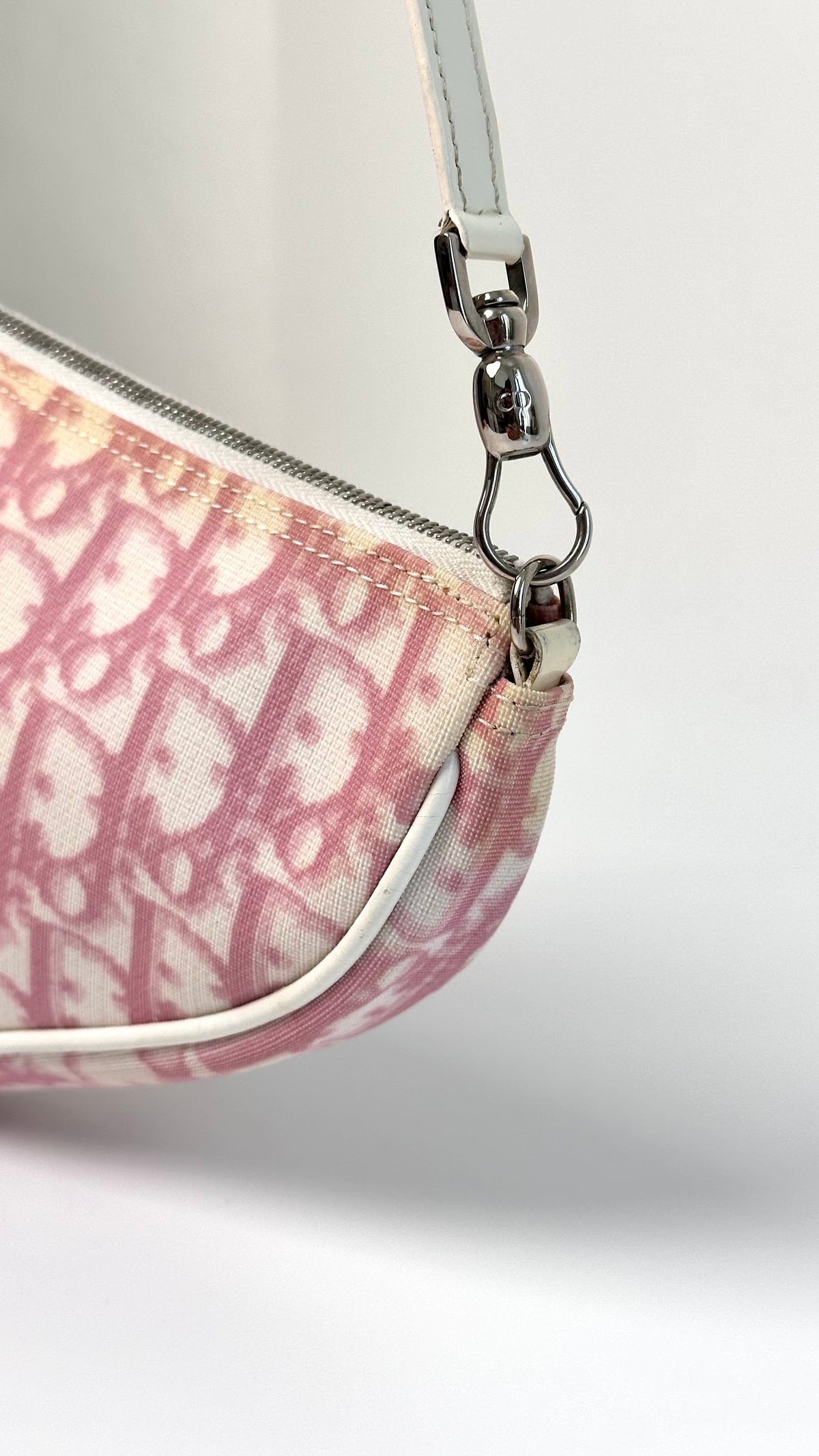 Dior Trotter